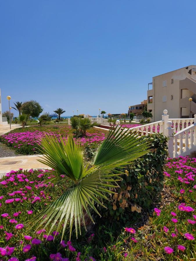 Duplex Espectacular En Primera Linea Naturista! Las Bombardas Luaran gambar